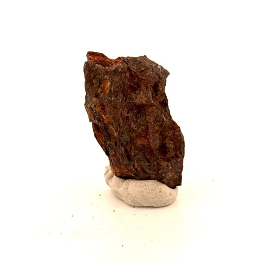 Authentic raw Sericho Pallasite Meteorite Fragment from Kenya (1.18") - FossilsAndMore