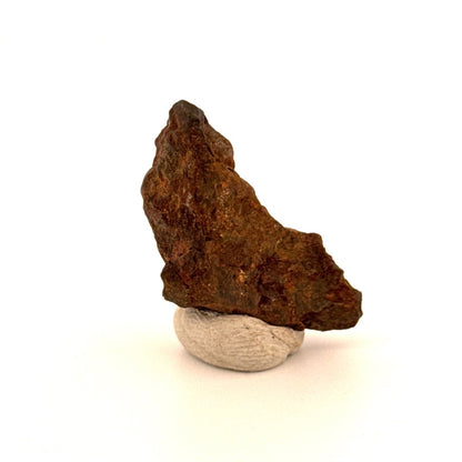 Authentic raw Sericho Pallasite Meteorite Fragment from Kenya (1.20") - FossilsAndMore