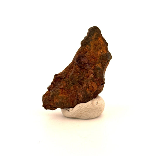 Authentic raw Sericho Pallasite Meteorite Fragment from Kenya (1.20") - FossilsAndMore