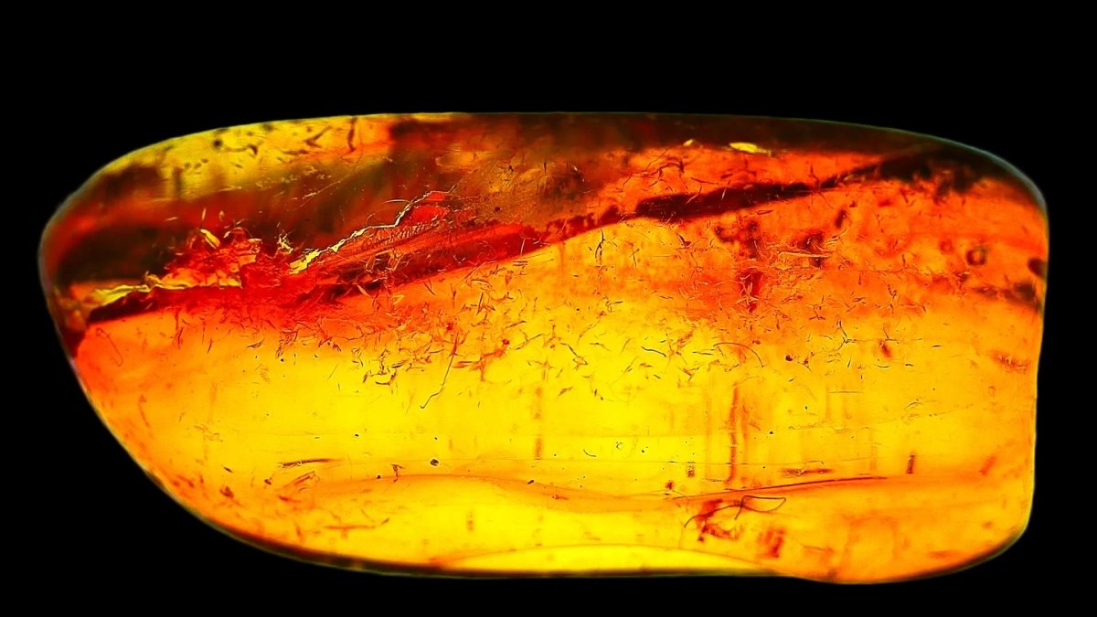 Baltic Amber fossil with 4 Flies insect - Eocene, Baltic Sea Region - FossilsAndMore
