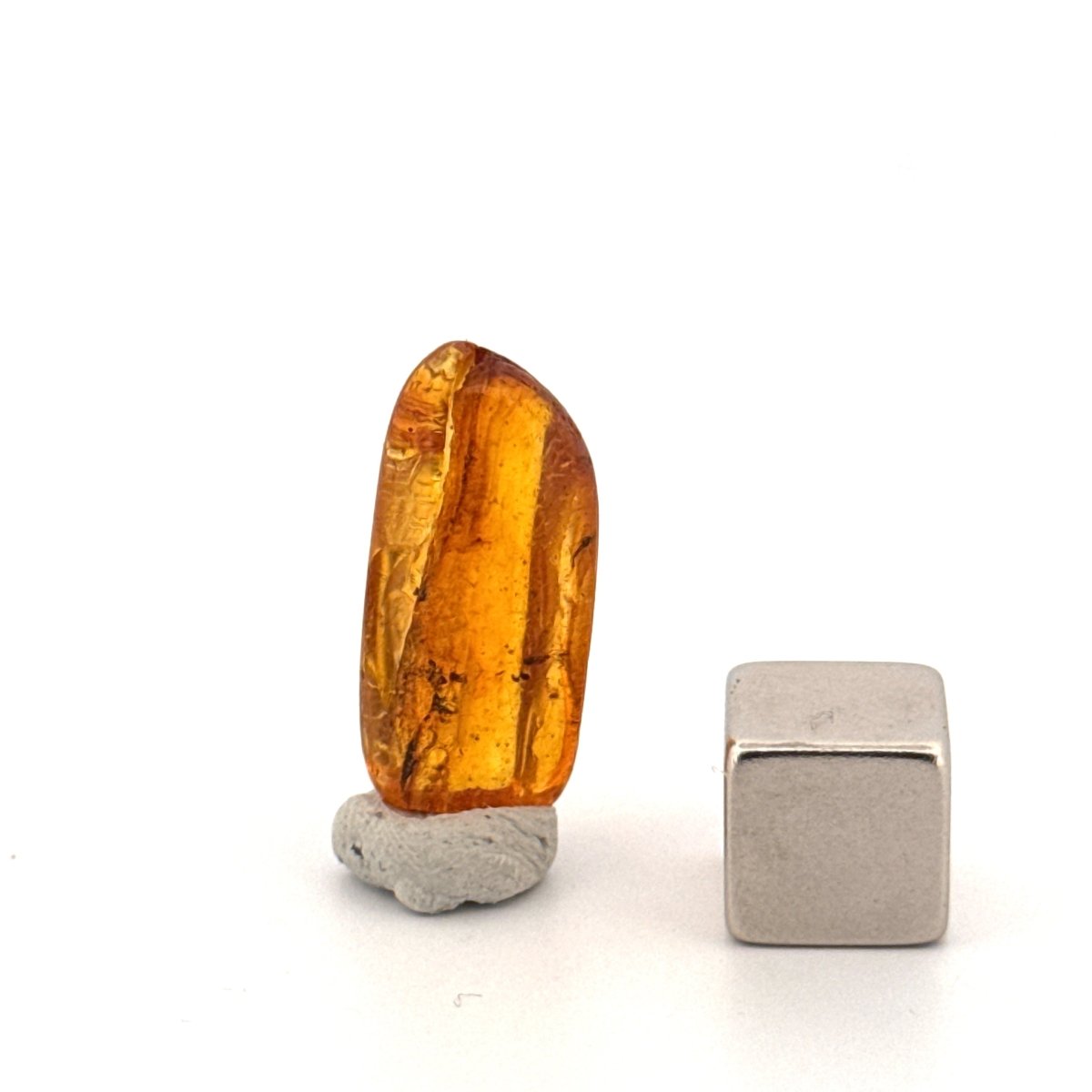 Baltic Amber fossil with 4 Flies insect - Eocene, Baltic Sea Region - FossilsAndMore