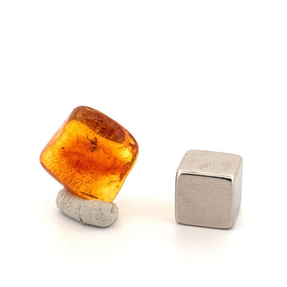 Baltic Amber fossil with Fly Species insect - Eocene, Baltic Sea Region - FossilsAndMore