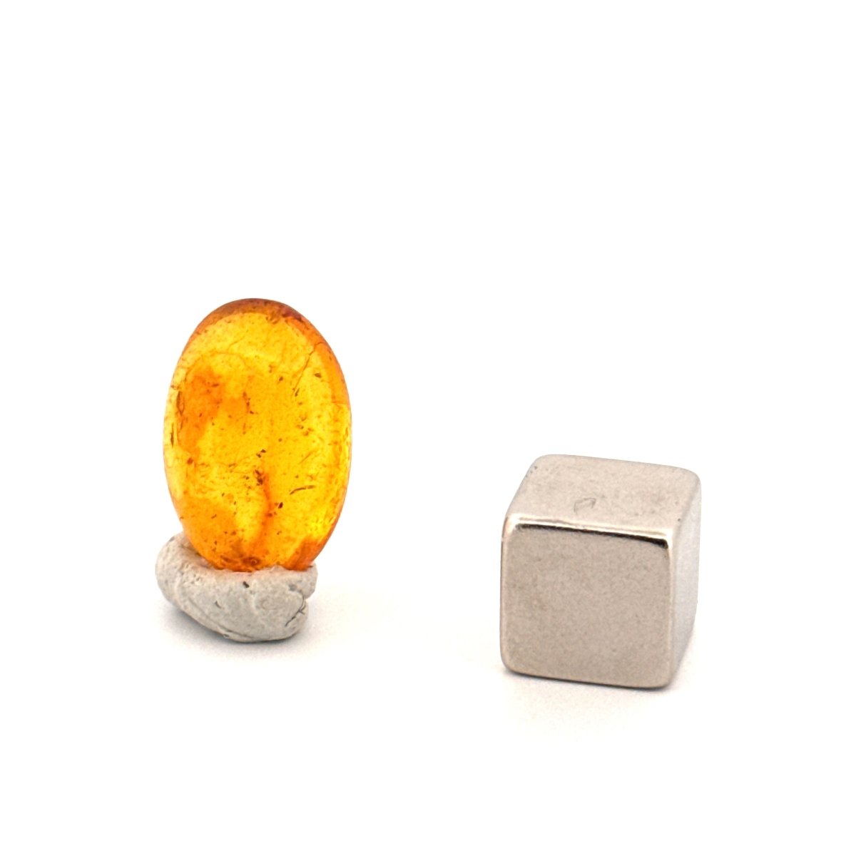 Baltic Amber fossil with Fly Species insect - Eocene, Baltic Sea Region - FossilsAndMore