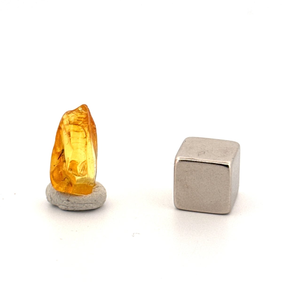 Baltic Amber fossil with Fly Species insect - Eocene, Baltic Sea Region - FossilsAndMore