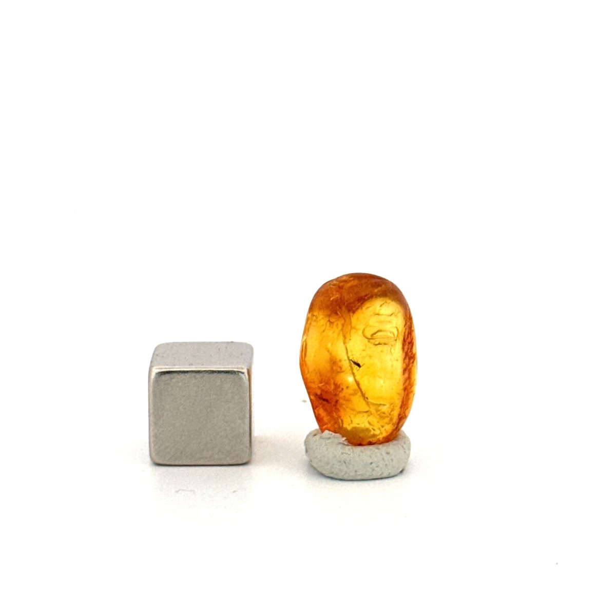 Baltic Amber fossil with small fly species insect inclusion from Baltic Sea Region - FossilsAndMore