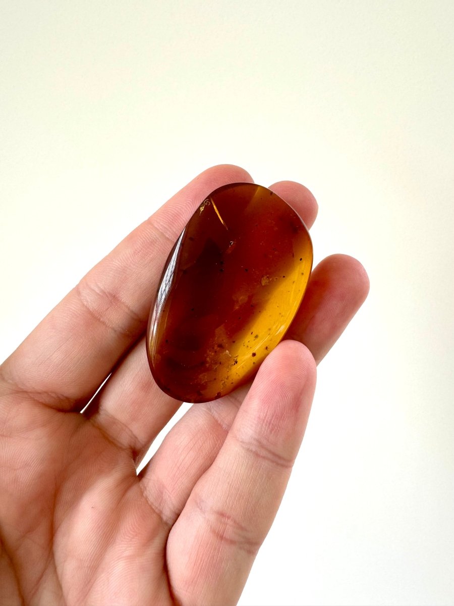 Big piece of Burmese Amber fossil with small Spider insect (Burmite amber) - FossilsAndMore