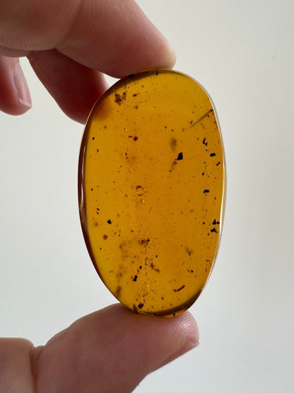 Big piece of Burmese Amber fossil with small Spider insect (Burmite amber) - FossilsAndMore