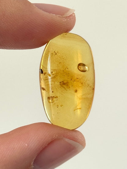 Burmese Amber fossil with an Enhydro water bubble (Burmite amber) - FossilsAndMore