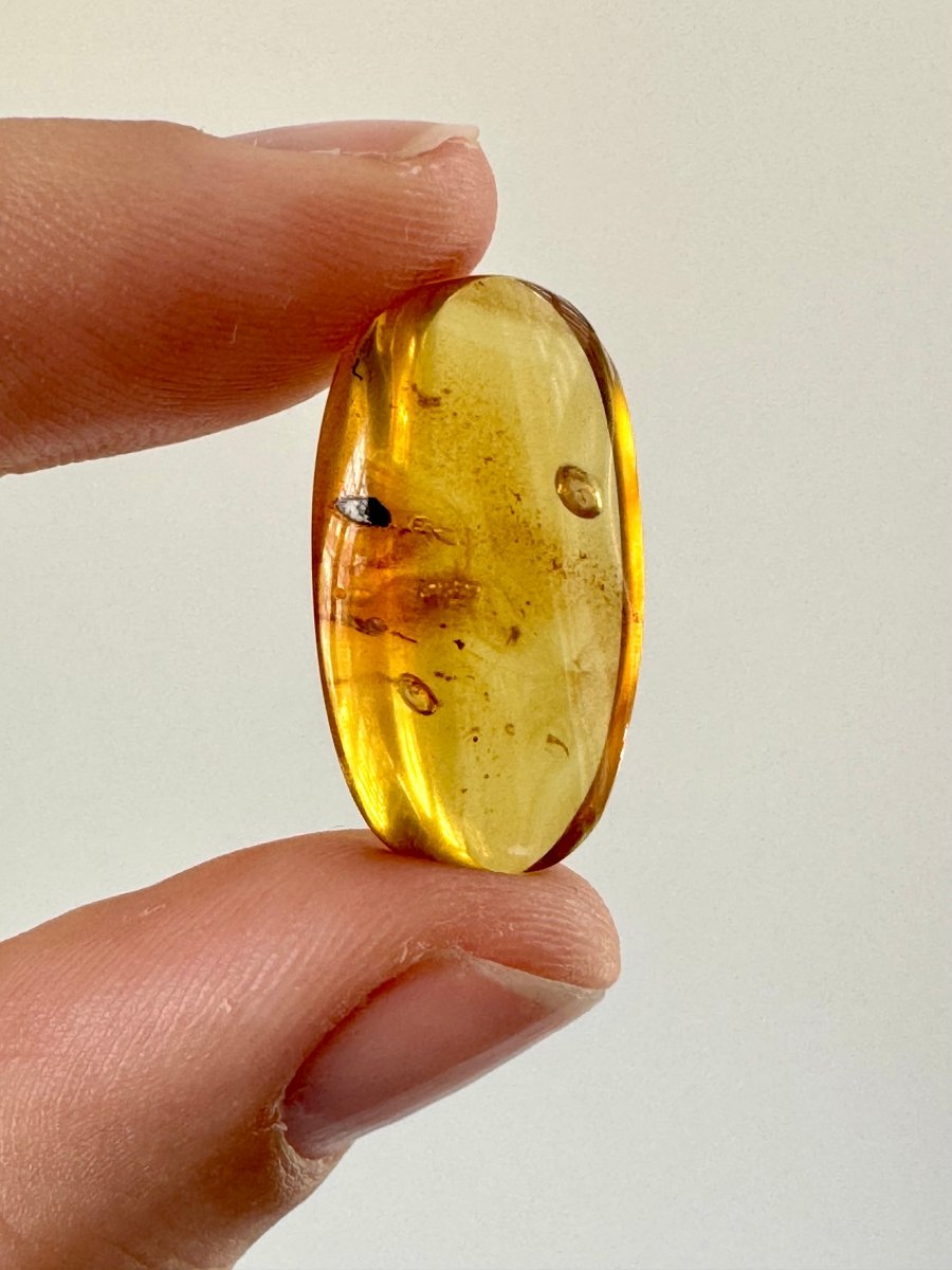 Burmese Amber fossil with an Enhydro water bubble (Burmite amber) - FossilsAndMore