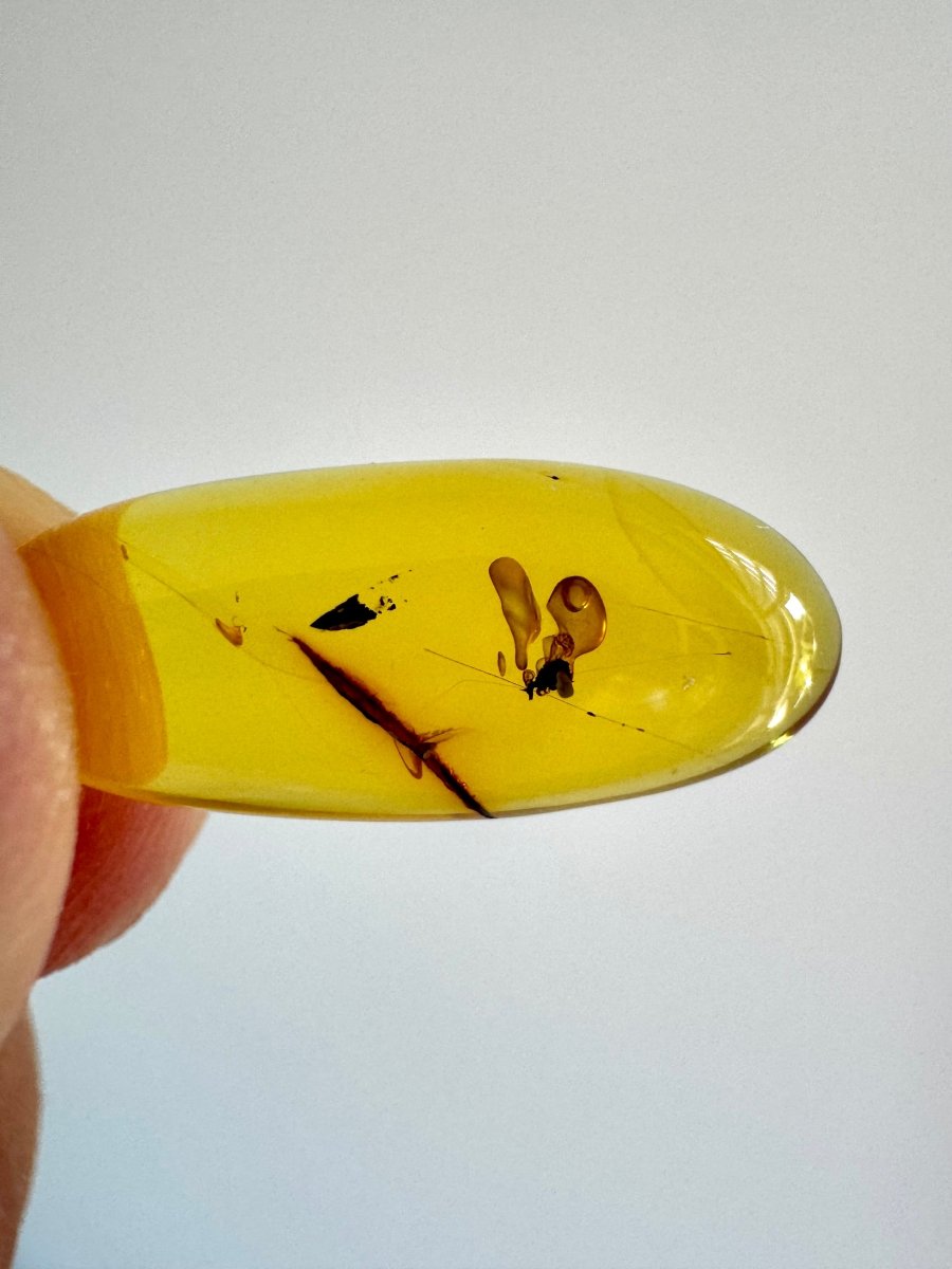 Burmese Amber fossil with an Enhydro water bubble (Burmite amber) - FossilsAndMore