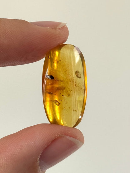 Burmese Amber fossil with an Enhydro water bubble (Burmite amber) - FossilsAndMore