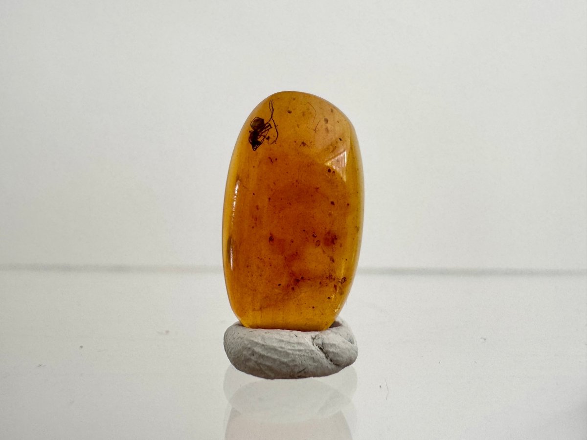 Burmese Amber fossil with spider insect inclusion, Cretaceous period (0.73") - FossilsAndMore
