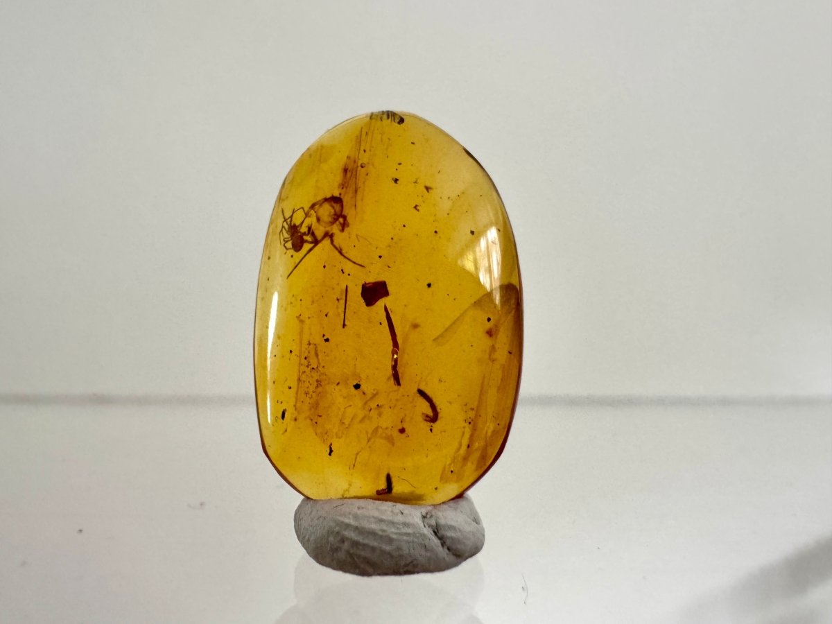 Burmese Amber fossil with spider insect inclusion, Cretaceous period (0.85") - FossilsAndMore