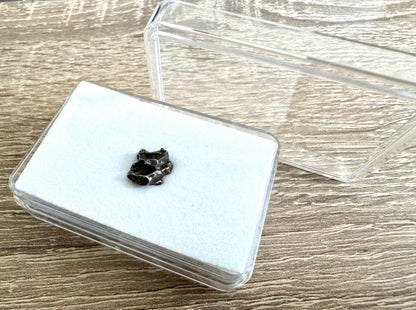 Campo del Cielo Meteorite (0.42") small authentic fragment - FossilsAndMore