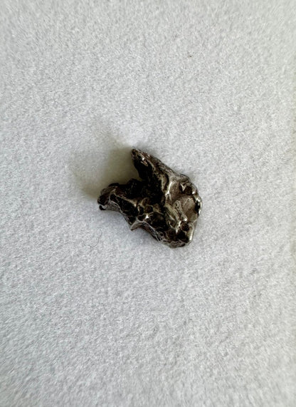 Campo del Cielo Meteorite (0.44") small authentic fragment - FossilsAndMore