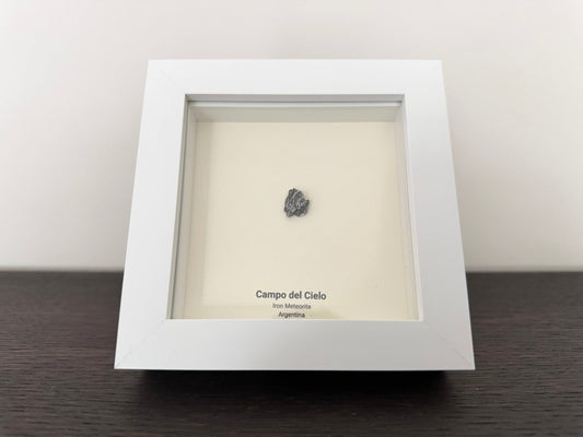 Campo del Cielo Meteorite Fragment in 3D picture frame - FossilsAndMore