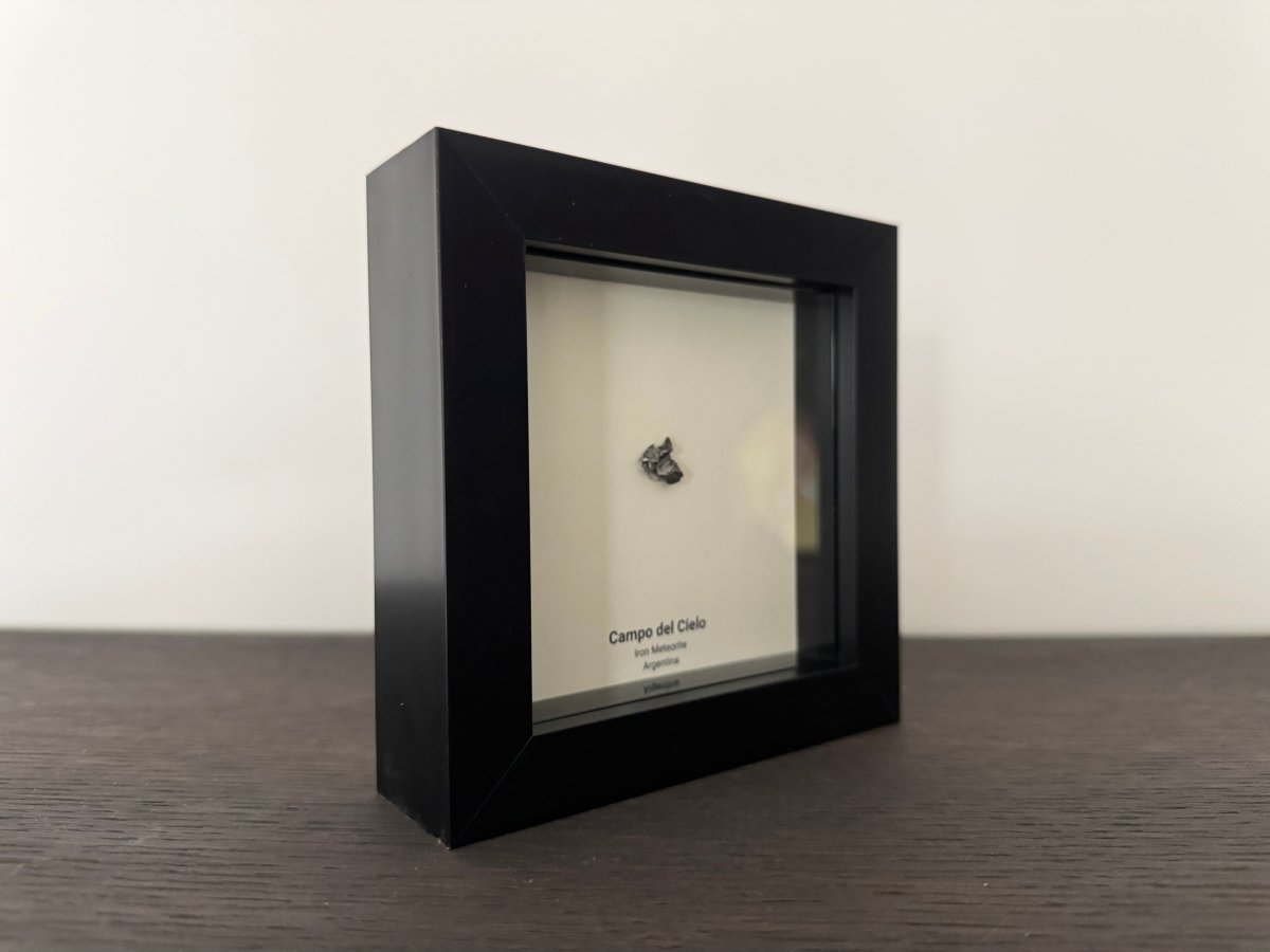 Campo del Cielo Meteorite Fragment in 3D picture frame - FossilsAndMore