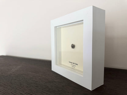 Campo del Cielo Meteorite Fragment in 3D picture frame - FossilsAndMore