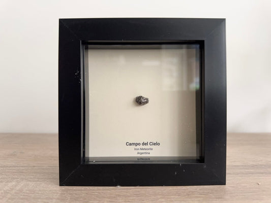 Campo del Cielo Meteorite Fragment in 3D picture frame - FossilsAndMore
