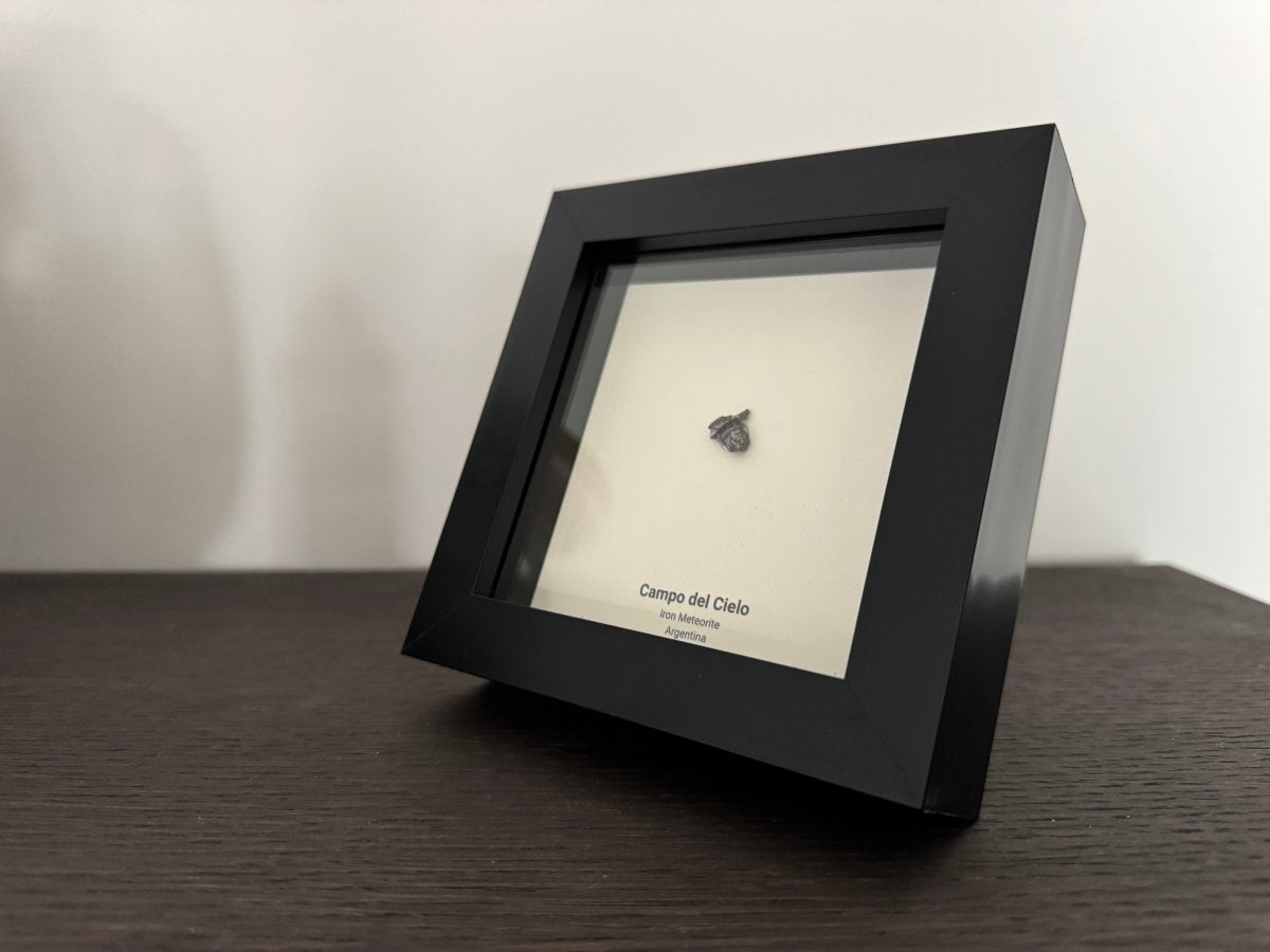 Campo del Cielo Meteorite Fragment in 3D picture frame - FossilsAndMore
