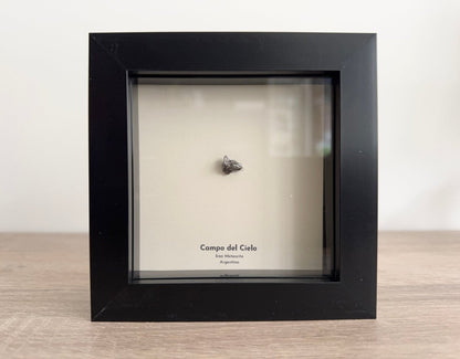 Campo del Cielo Meteorite Fragment in 3D picture frame - FossilsAndMore