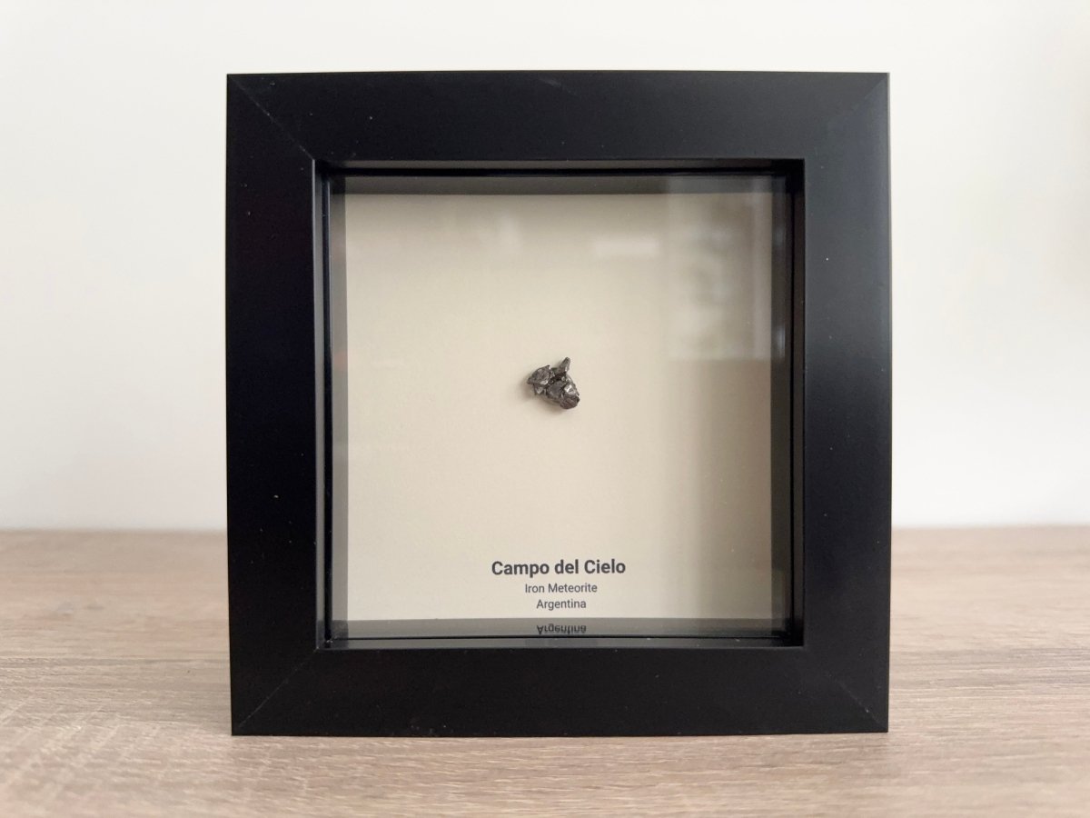 Campo del Cielo Meteorite Fragment in 3D picture frame - FossilsAndMore