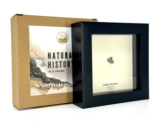 Campo del Cielo Meteorite Fragment in Deep Box Frame - FossilsAndMore