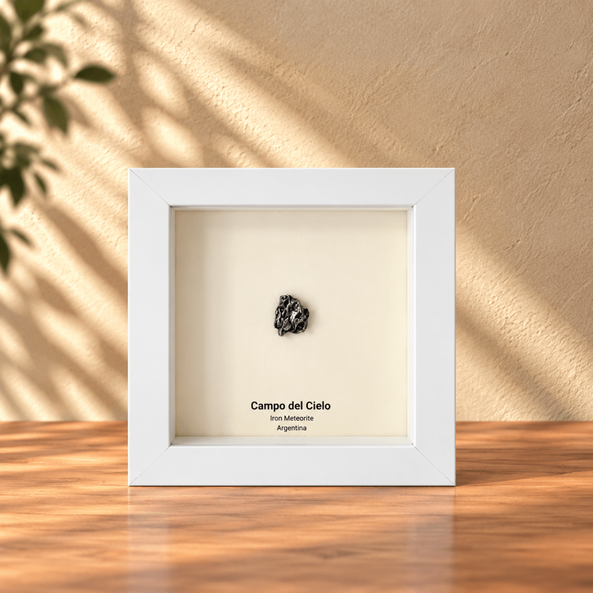 Campo del Cielo Meteorite Fragment in Deep Box Frame - FossilsAndMore