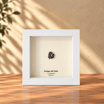 Campo del Cielo Meteorite Fragment in Deep Box Frame - FossilsAndMore