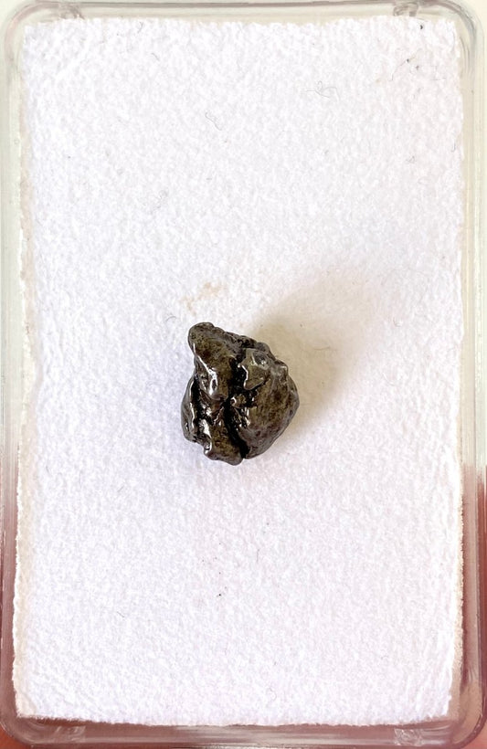 Campo del Cielo Meteorite - small fragment - FossilsAndMore