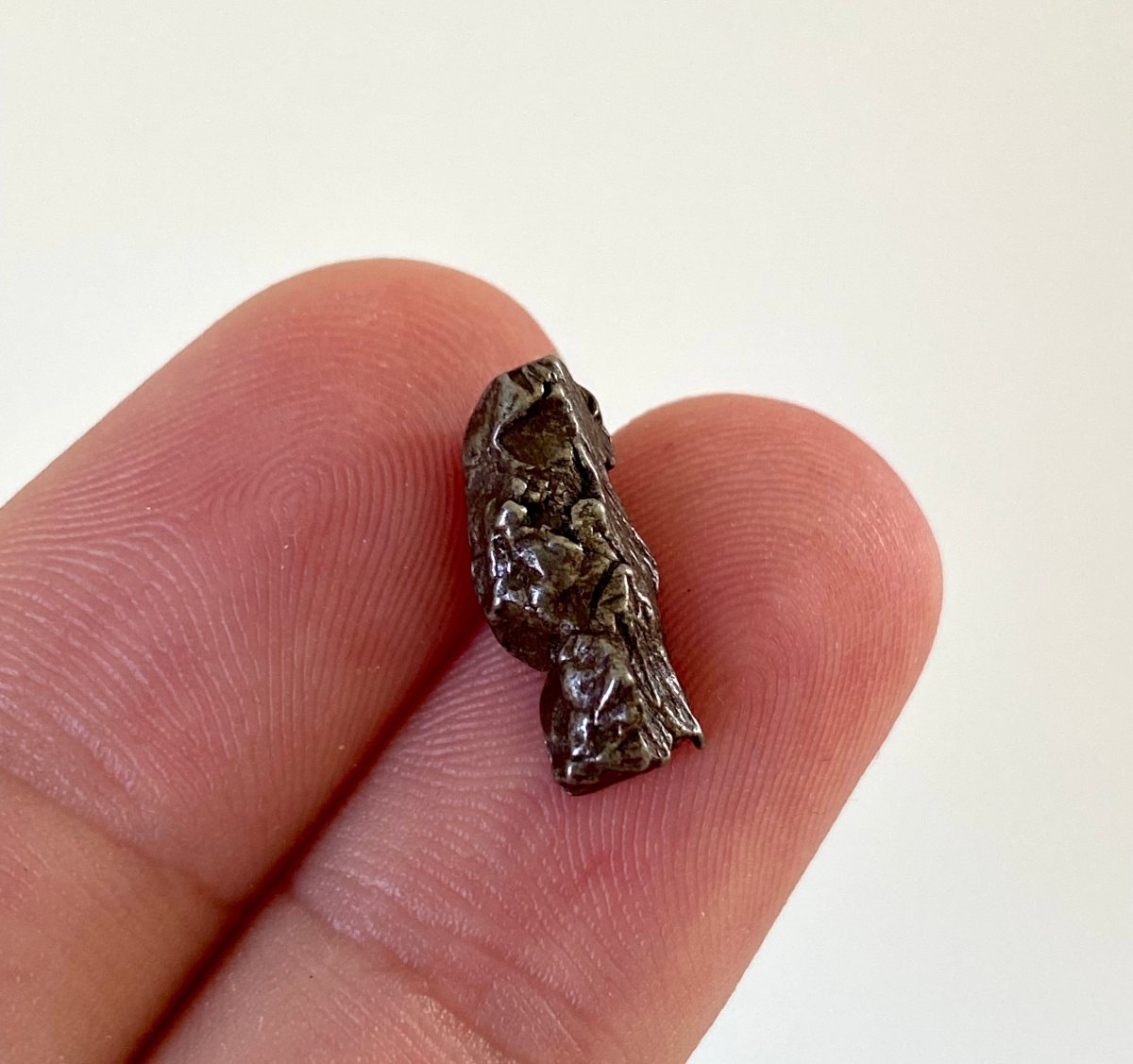 Campo del Cielo Meteorite - small fragment - FossilsAndMore