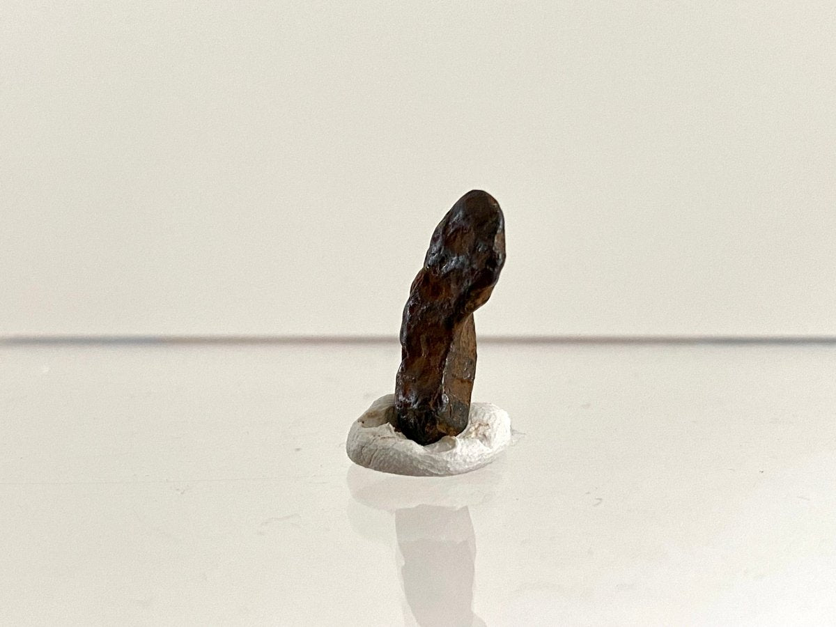 Canyon Diablo Meteorite fragment (0.72"), 2 grams - FossilsAndMore