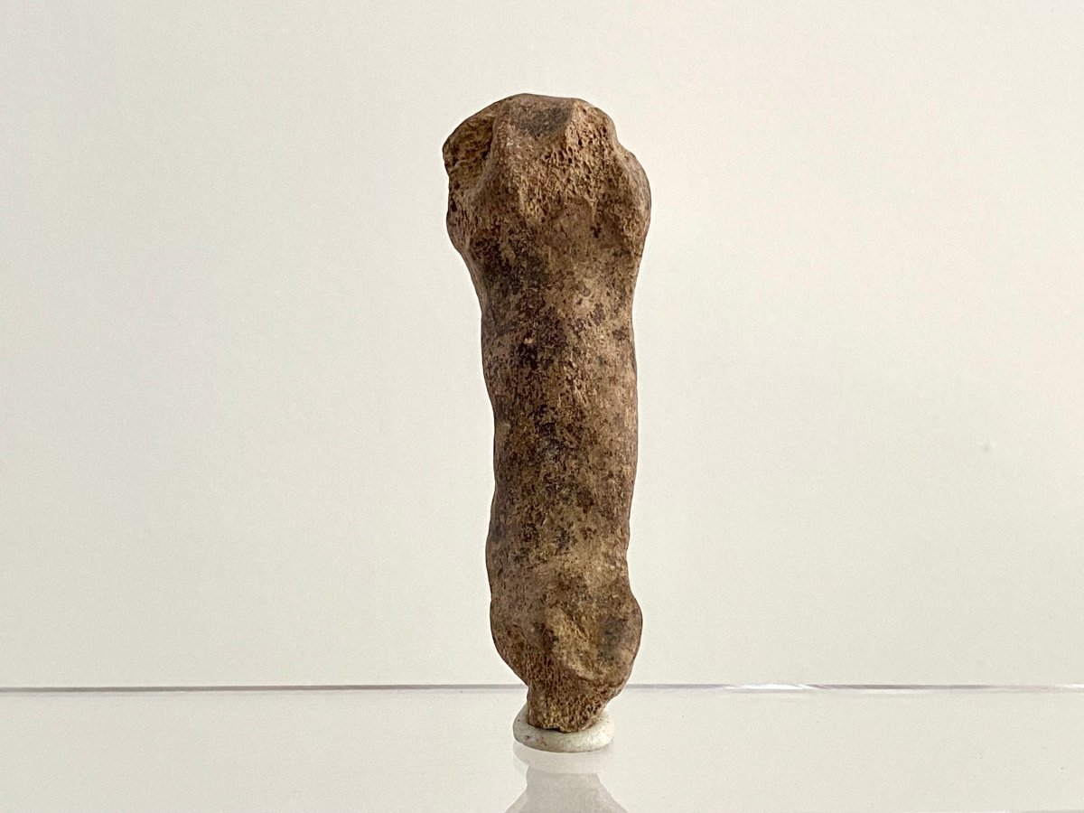 Cave Bear (Ursus spelaeus) Metacarpal Fossil (3.40"), Pleistocene, Romania - FossilsAndMore