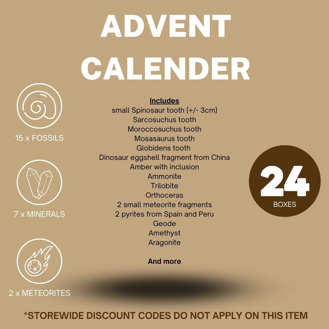 COMING SOON! Advent calender with a mix of Fossils, Minerals and Meteorites - FossilsAndMore