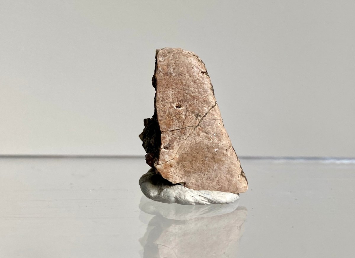 Crocodile Dermal Scute (1.14") - Cretaceous, Hell Creek Formation, USA - FossilsAndMore