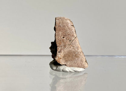 Crocodile Dermal Scute (1.14") - Cretaceous, Hell Creek Formation, USA - FossilsAndMore