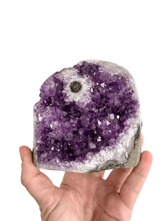 Cut-base Amethyst cluster from Uruguay | 1487 grams - FossilsAndMore