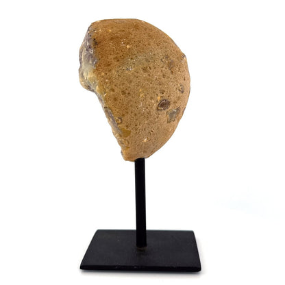 Decorative Agate Geode on stand, mineral - Brazil - FossilsAndMore