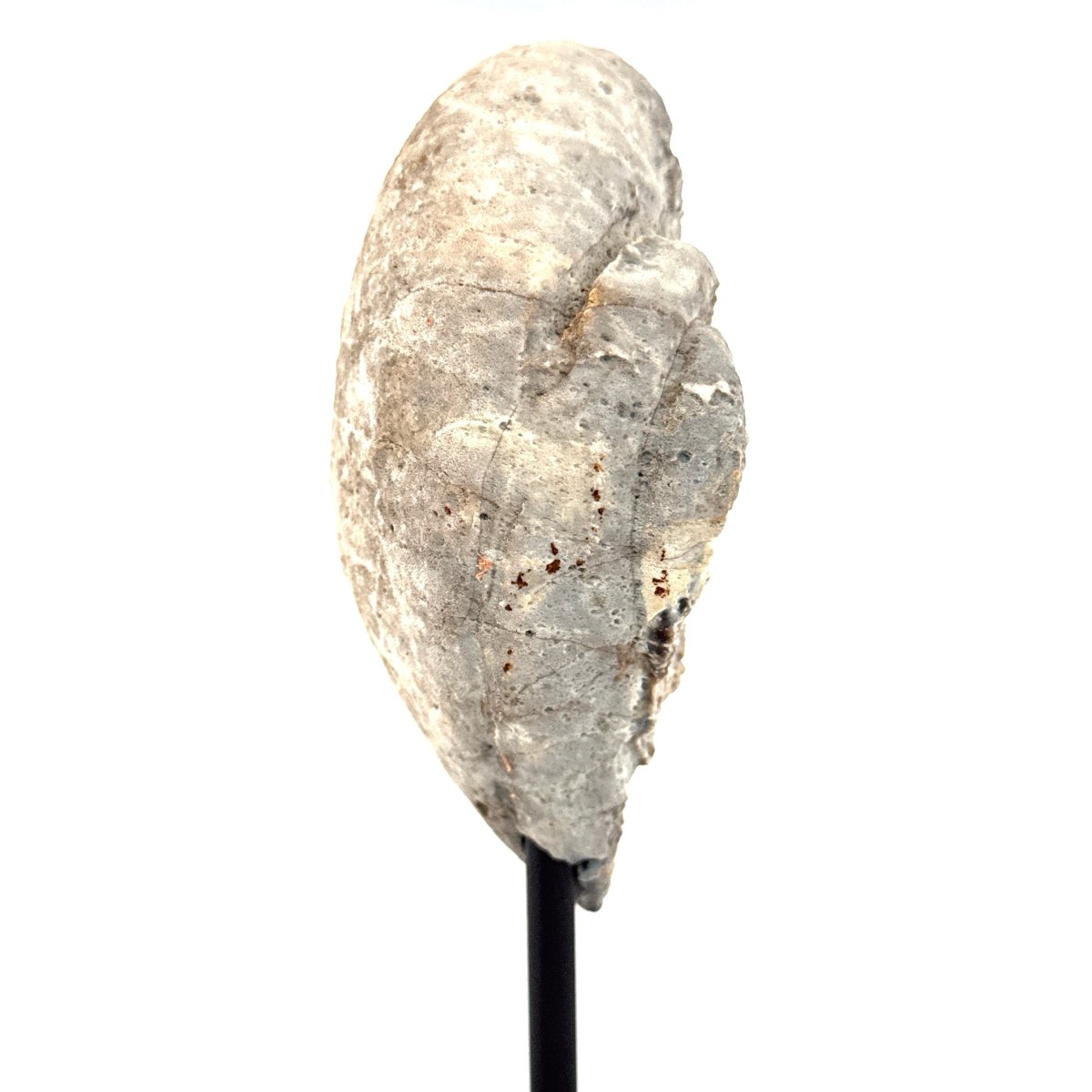 Decorative Agate Geode on stand, mineral - Brazil - FossilsAndMore