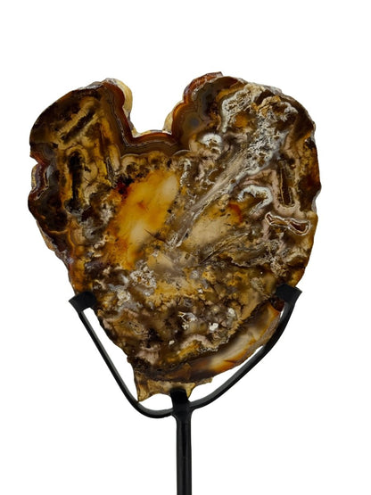 Decorative Agate Slice on custom stand, mineral from Brazil (6 - 007) - FossilsAndMore