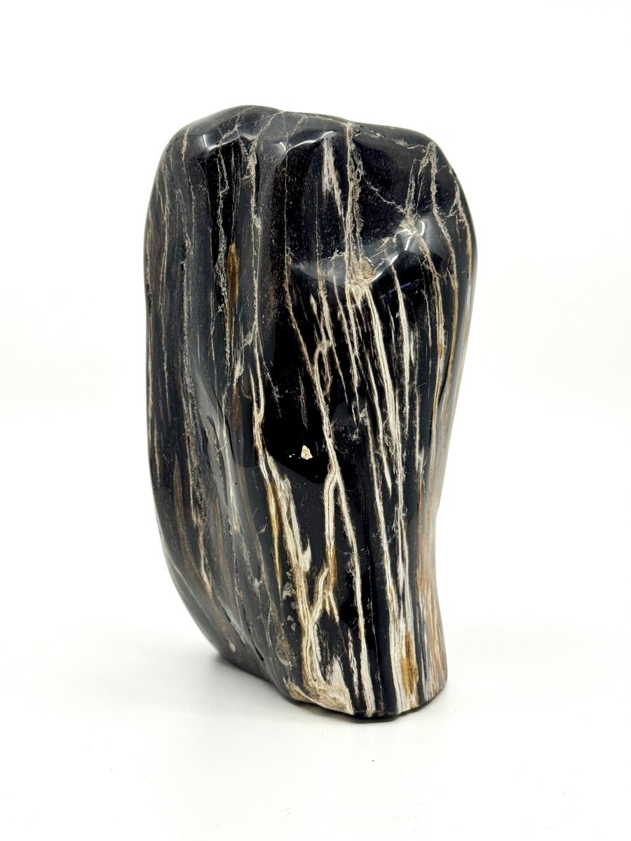 Dipterocarpus species ornament, Petrified wood (6.88") from Indonesia - FossilsAndMore