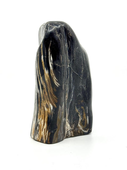 Dipterocarpus species ornament, Petrified wood (6.88") from Indonesia - FossilsAndMore