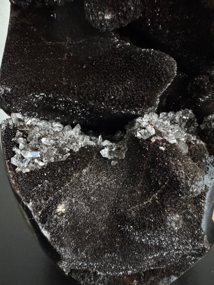 Dragon’s Egg Septarian Geode (1456 Grams) – Natural Stone from Madagascar - FossilsAndMore