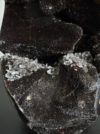 Dragon’s Egg Septarian Geode (1456 Grams) – Natural Stone from Madagascar - FossilsAndMore