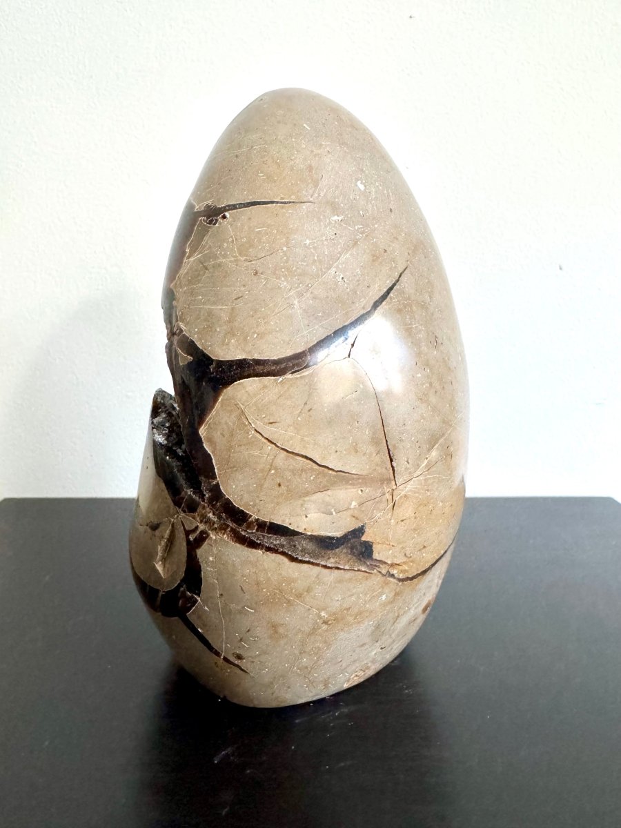 Dragon’s Egg Septarian Geode (1456 Grams) – Natural Stone from Madagascar - FossilsAndMore
