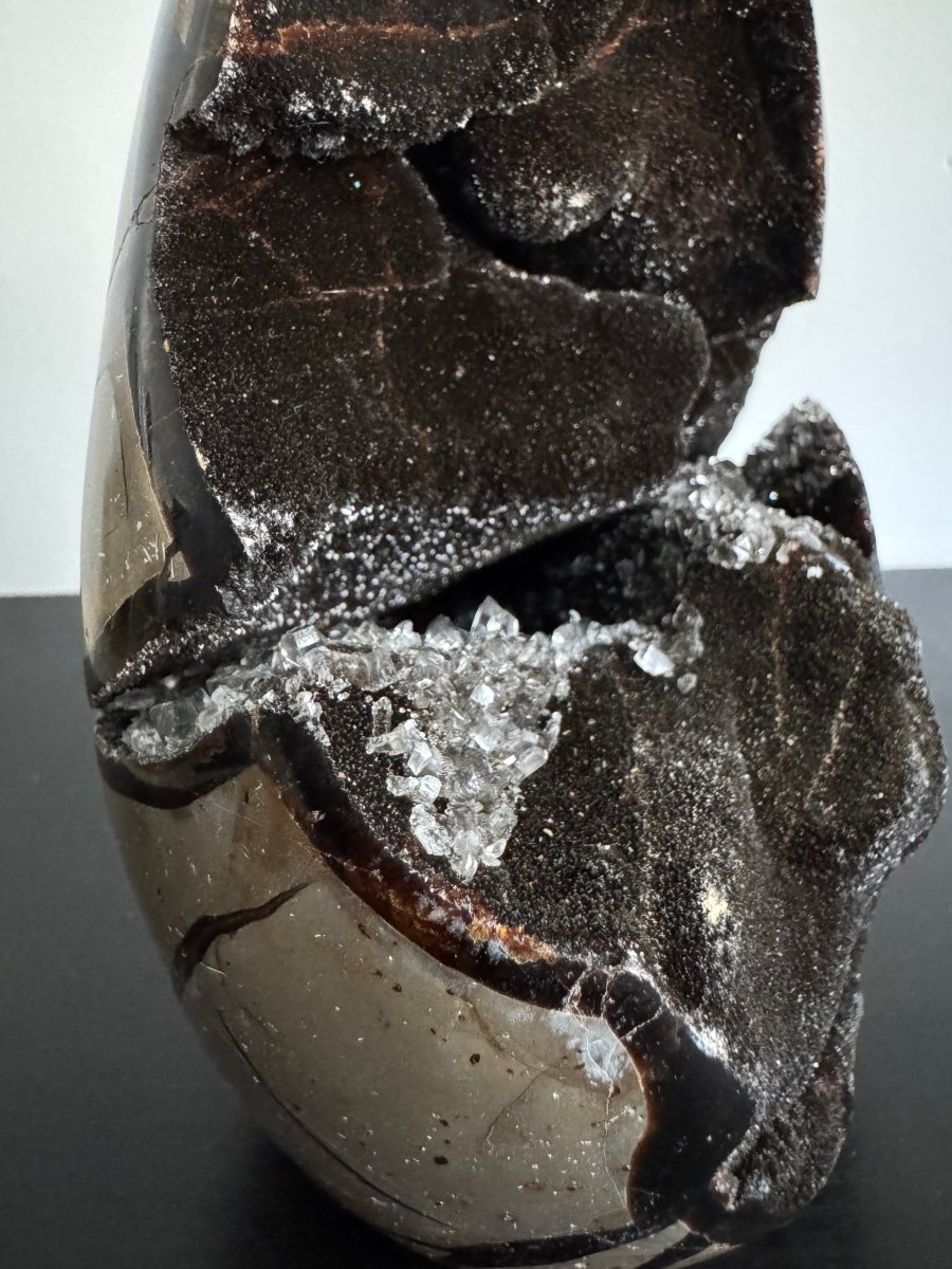 Dragon’s Egg Septarian Geode (1456 Grams) – Natural Stone from Madagascar - FossilsAndMore