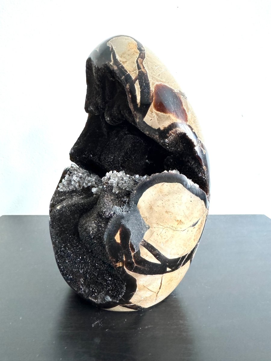 Dragon’s Egg Septarian Geode (1456 Grams) – Natural Stone from Madagascar - FossilsAndMore