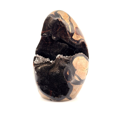 Dragon’s Egg Septarian Geode (1456 Grams) – Natural Stone from Madagascar - FossilsAndMore