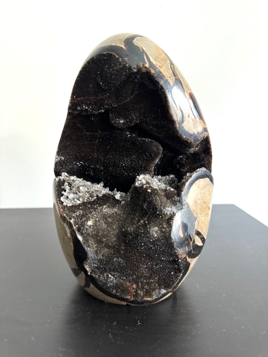 Dragon’s Egg Septarian Geode (1456 Grams) – Natural Stone from Madagascar - FossilsAndMore