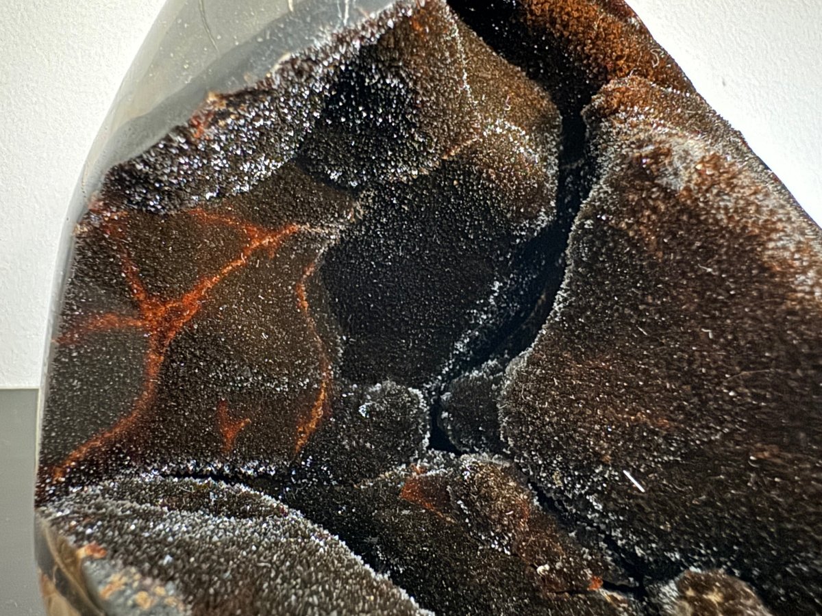 Dragon’s Egg Septarian Geode (1570 Grams) – Natural Stone from Madagascar - FossilsAndMore